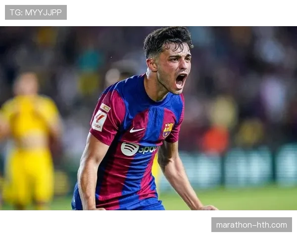 佩德里传球视野分析