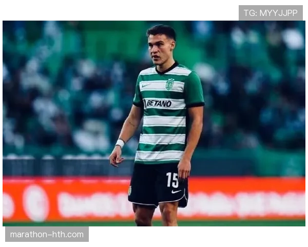 赖斯防守区域分析